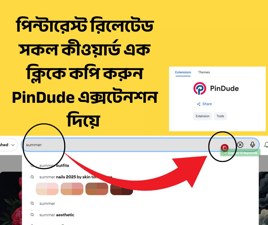 PinDude Chrome Extension